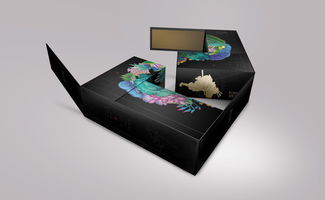 匠心融匯，數字賦能——桐木關紅茶的品牌包裝設計與軟件開發一體化提案